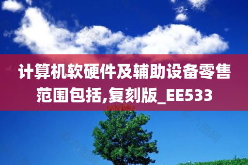 计算机软硬件及辅助设备零售范围包括,复刻版_EE533