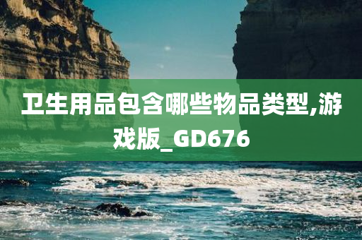 卫生用品包含哪些物品类型,游戏版_GD676