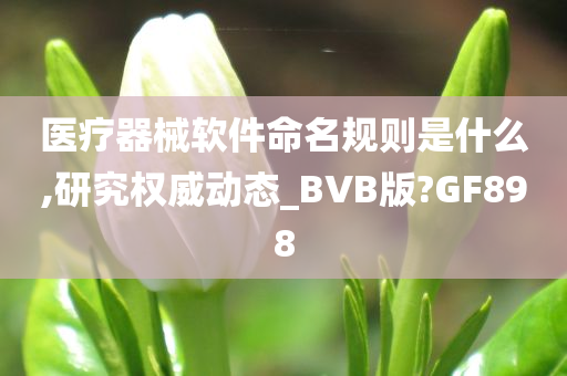 医疗器械软件命名规则是什么,研究权威动态_BVB版?GF898