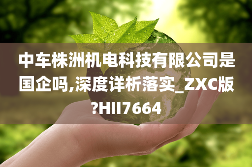 中车株洲机电科技有限公司是国企吗,深度详析落实_ZXC版?HII7664