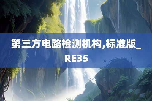 第三方电路检测机构,标准版_RE35