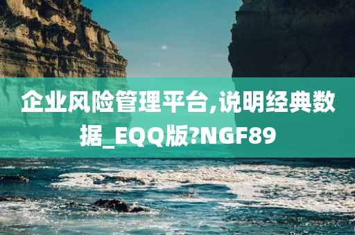 企业风险管理平台,说明经典数据_EQQ版?NGF89