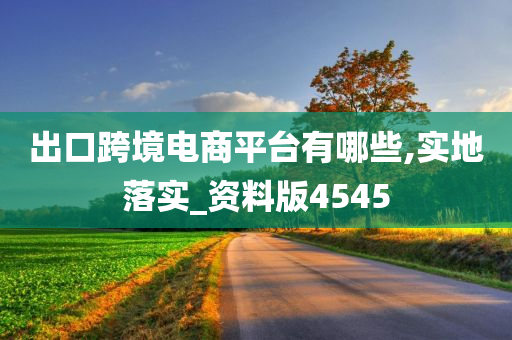 出口跨境电商平台有哪些,实地落实_资料版4545