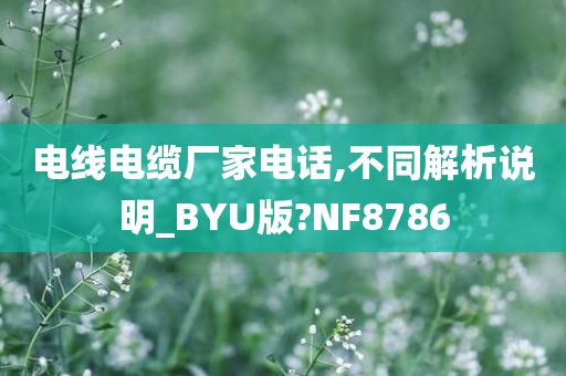 电线电缆厂家电话,不同解析说明_BYU版?NF8786