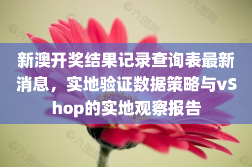 新澳开奖结果记录查询表最新消息，实地验证数据策略与vShop的实地观察报告