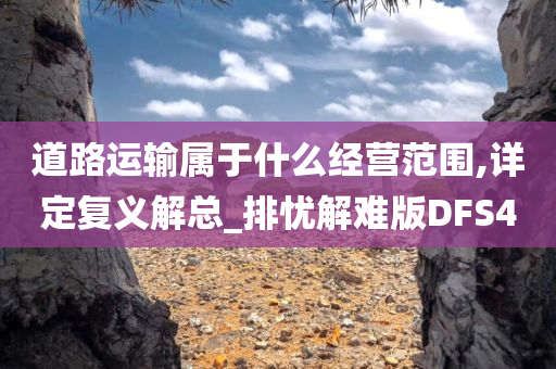 道路运输属于什么经营范围,详定复义解总_排忧解难版DFS4