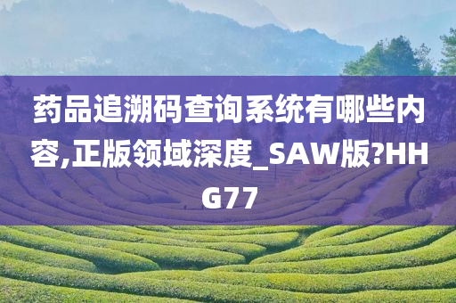 药品追溯码查询系统有哪些内容,正版领域深度_SAW版?HHG77