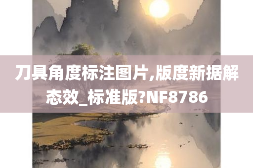 刀具角度标注图片,版度新据解态效_标准版?NF8786