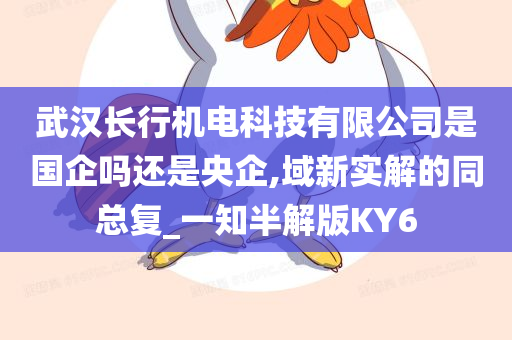 武汉长行机电科技有限公司是国企吗还是央企,域新实解的同总复_一知半解版KY6