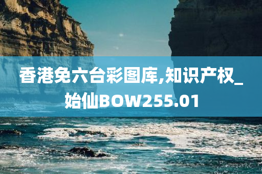 香港免六台彩图库,知识产权_始仙BOW255.01