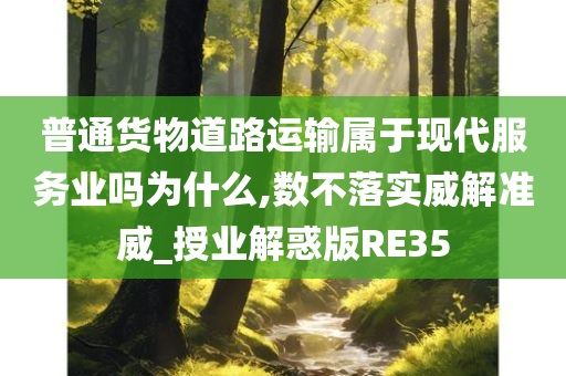 普通货物道路运输属于现代服务业吗为什么,数不落实威解准威_授业解惑版RE35