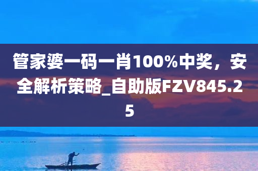 管家婆一码一肖100%中奖，安全解析策略_自助版FZV845.25