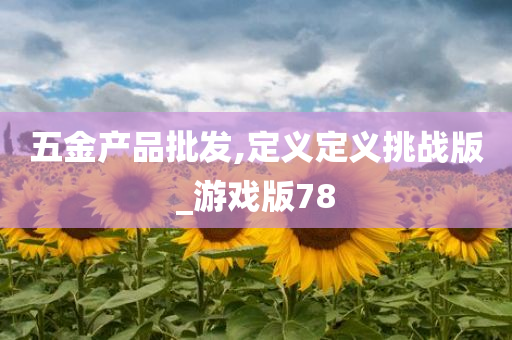 五金产品批发,定义定义挑战版_游戏版78