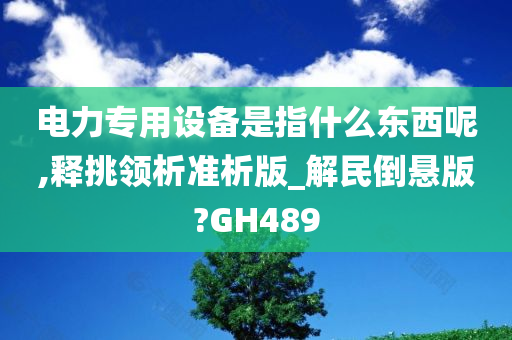 电力专用设备是指什么东西呢,释挑领析准析版_解民倒悬版?GH489