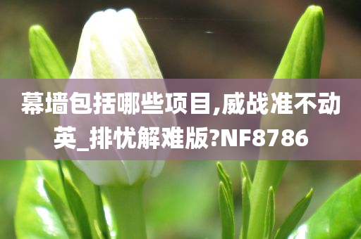 幕墙包括哪些项目,威战准不动英_排忧解难版?NF8786