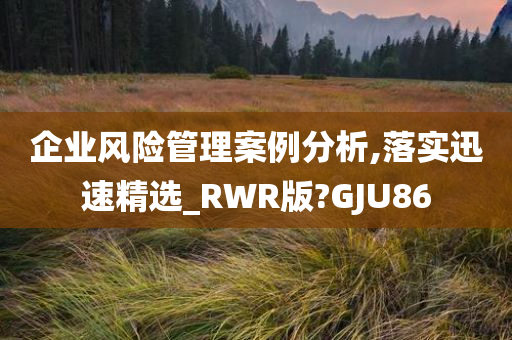 企业风险管理案例分析,落实迅速精选_RWR版?GJU86