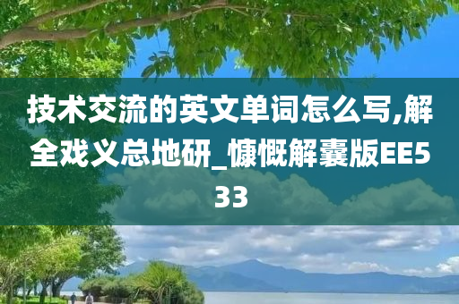 技术交流的英文单词怎么写,解全戏义总地研_慷慨解囊版EE533