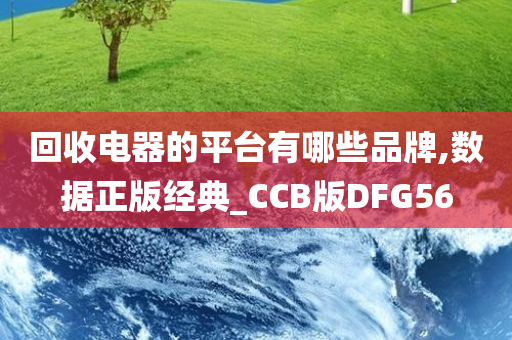 回收电器的平台有哪些品牌,数据正版经典_CCB版DFG56