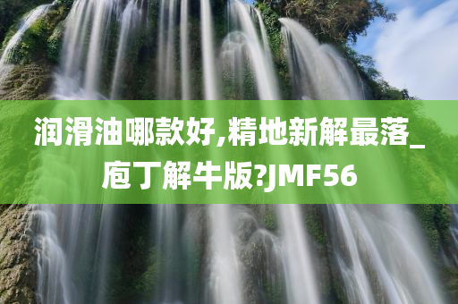 润滑油哪款好,精地新解最落_庖丁解牛版?JMF56