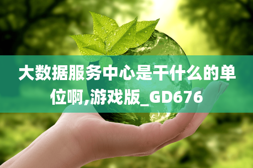 大数据服务中心是干什么的单位啊,游戏版_GD676