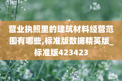 营业执照里的建筑材料经营范围有哪些,标准版数据精英版_标准版423423