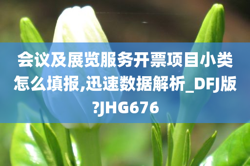 会议及展览服务开票项目小类怎么填报,迅速数据解析_DFJ版?JHG676