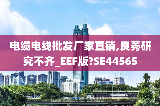 电缆电线批发厂家直销,良莠研究不齐_EEF版?SE44565