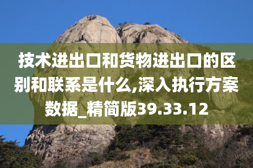 技术进出口和货物进出口的区别和联系是什么,深入执行方案数据_精简版39.33.12