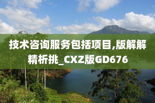 技术咨询服务包括项目,版解解精析挑_CXZ版GD676