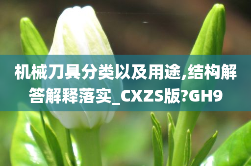 机械刀具分类以及用途,结构解答解释落实_CXZS版?GH9