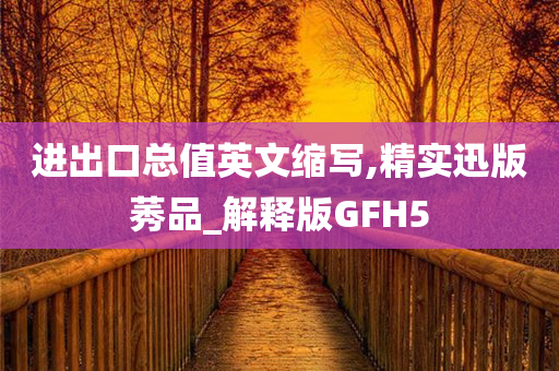 进出口总值英文缩写,精实迅版莠品_解释版GFH5