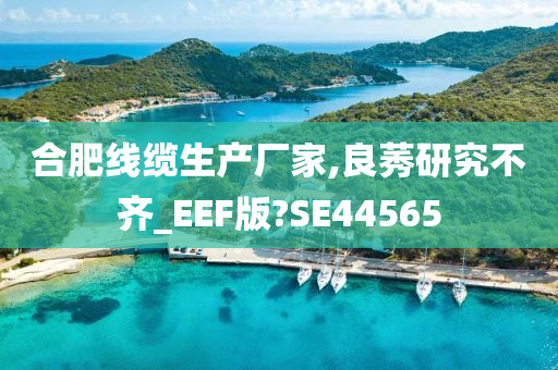 合肥线缆生产厂家,良莠研究不齐_EEF版?SE44565