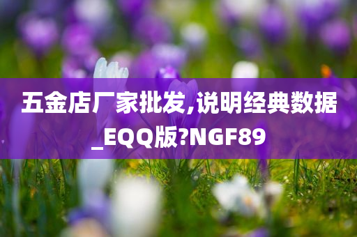 五金店厂家批发,说明经典数据_EQQ版?NGF89