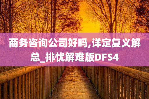 商务咨询公司好吗,详定复义解总_排忧解难版DFS4