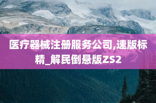 医疗器械注册服务公司,速版标精_解民倒悬版ZS2