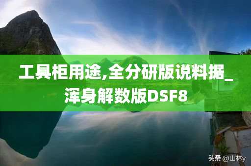 工具柜用途,全分研版说料据_浑身解数版DSF8