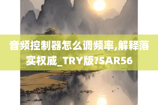 音频控制器怎么调频率,解释落实权威_TRY版?SAR56