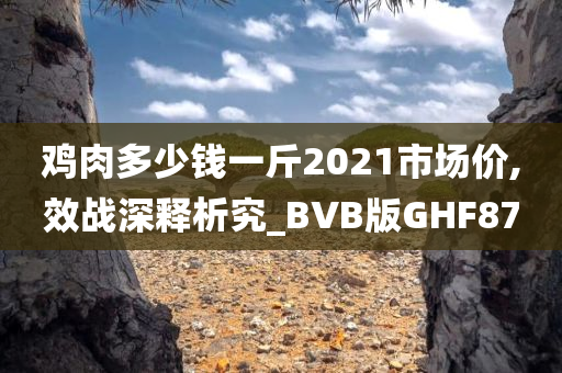 鸡肉多少钱一斤2021市场价,效战深释析究_BVB版GHF87