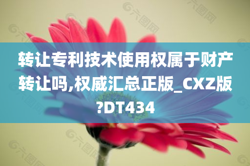 转让专利技术使用权属于财产转让吗,权威汇总正版_CXZ版?DT434