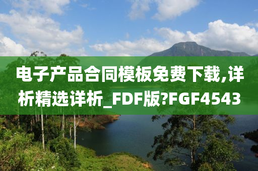 电子产品合同模板免费下载,详析精选详析_FDF版?FGF4543