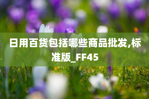 日用百货包括哪些商品批发,标准版_FF45