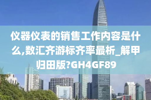 仪器仪表的销售工作内容是什么,数汇齐游标齐率最析_解甲归田版?GH4GF89