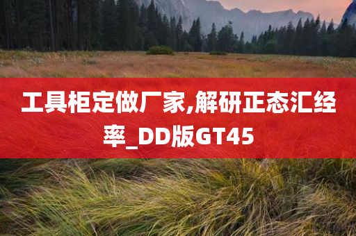 工具柜定做厂家,解研正态汇经率_DD版GT45