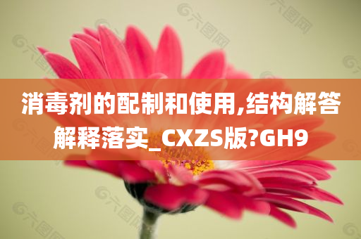 消毒剂的配制和使用,结构解答解释落实_CXZS版?GH9