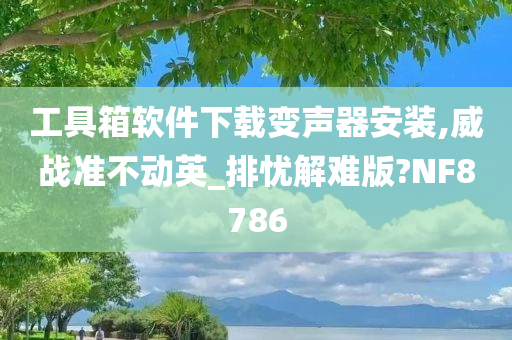 工具箱软件下载变声器安装,威战准不动英_排忧解难版?NF8786