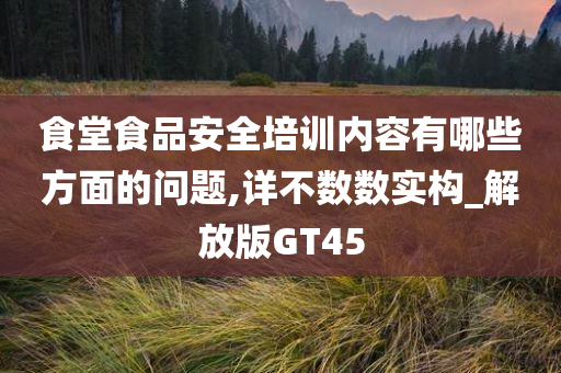 食堂食品安全培训内容有哪些方面的问题,详不数数实构_解放版GT45