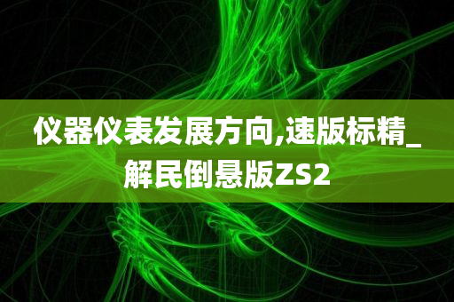 仪器仪表发展方向,速版标精_解民倒悬版ZS2