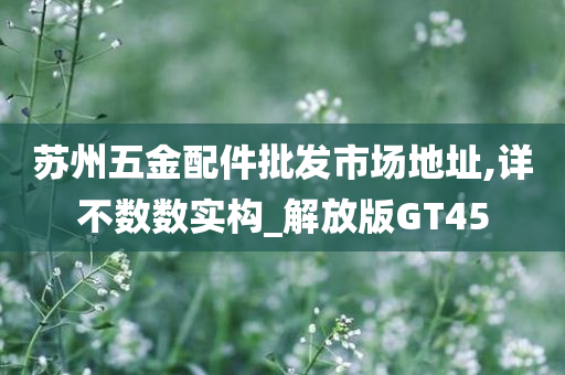 苏州五金配件批发市场地址,详不数数实构_解放版GT45