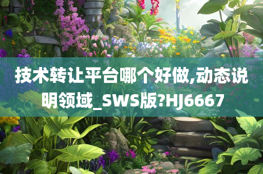 技术转让平台哪个好做,动态说明领域_SWS版?HJ6667