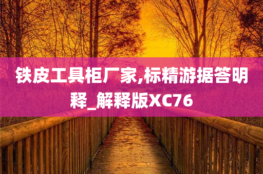 铁皮工具柜厂家,标精游据答明释_解释版XC76